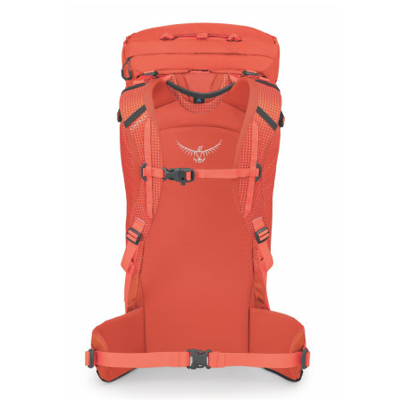 Rucsac turistic Osprey Mutant 38