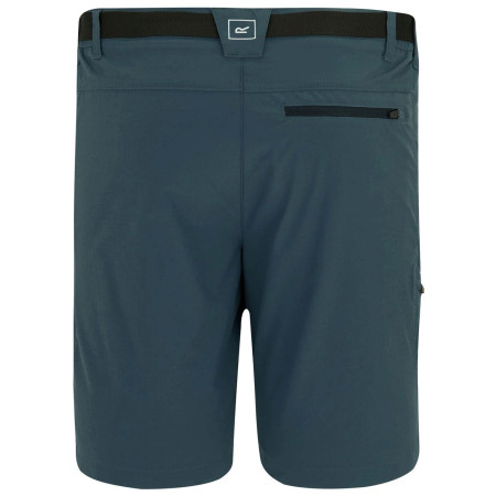 Pantaloni scurți bărbați Regatta Xert Stretch Shorts