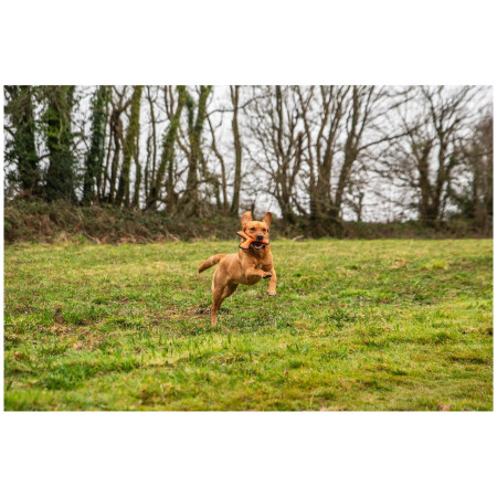 Jucărie pentru câini Mountain Paws Rubber Throw Dog Toy