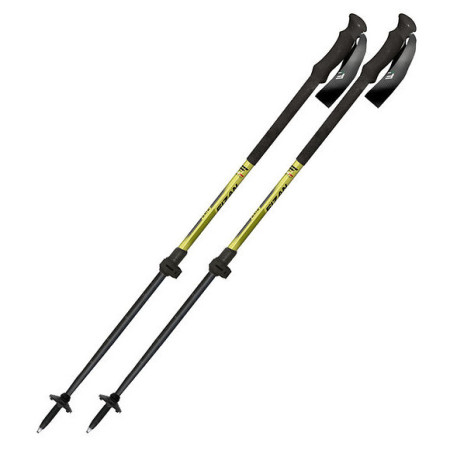 Bețe de schi alpinism Fizan Aria