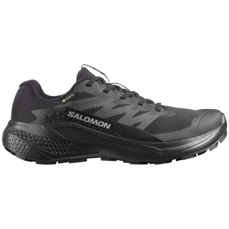 Încălțăminte femei Salomon Alphaglide Gore-Tex