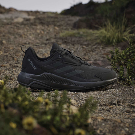 Încălțăminte femei Adidas Terrex Anylander W