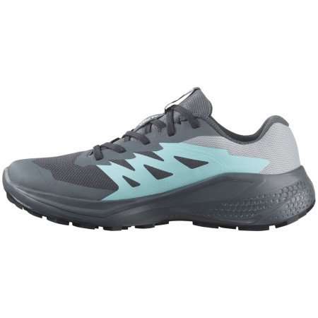 Încălțăminte femei Salomon Alphaglide Gore-Tex