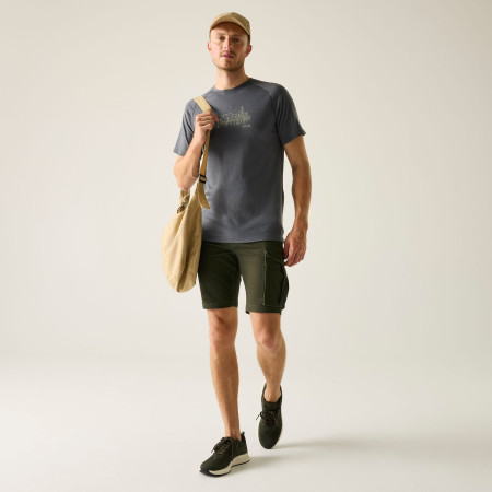 Pantaloni scurți bărbați Regatta Bendrick Shorts