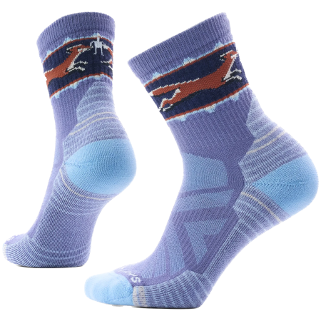 Șosete Smartwool Women's Hike Light Cushion Fox Meadow Mi albastru
