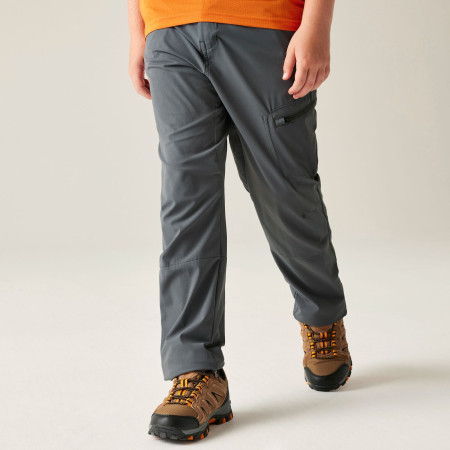 Pantaloni copii Dare 2b Rapid trouser Magnet