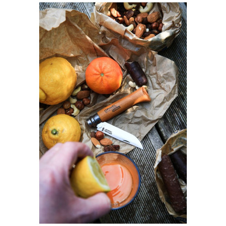 Briceag Opinel N°04 Carbon