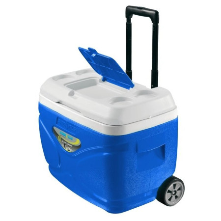 Cutie frigorifică Pinnacle Prudence 30L