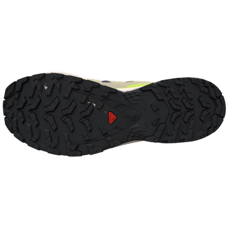 Încălțăminte bărbați Salomon Xa Pro 3D V9