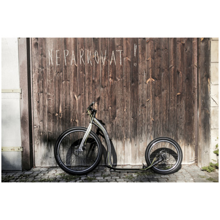 Trotinetă Yedoo Trexx Disc