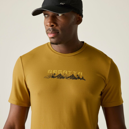 Tricou bărbați Regatta Fingal Stretch