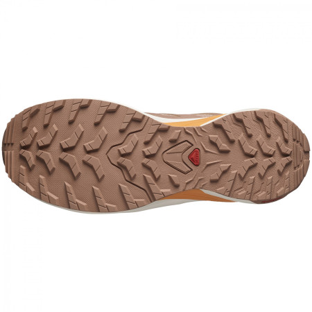 Încălțăminte de alergat pentru femei Salomon X-Adventure Gore-Tex