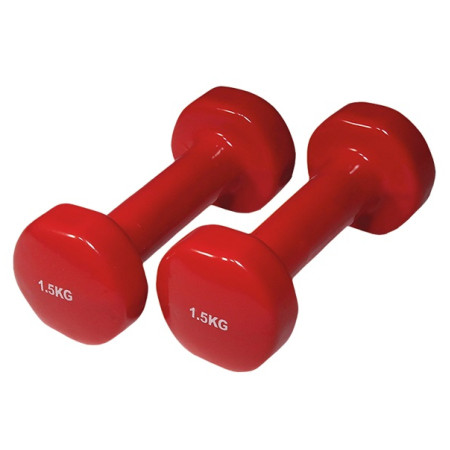 Gantere Yate PVC 1,5 kg