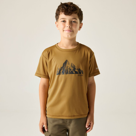 Tricou copii Regatta Alvarado Wood Brown