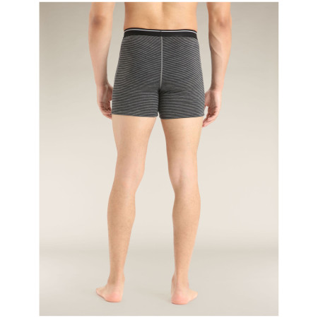 Boxeri bărbați Icebreaker Mens Anatomica Boxers