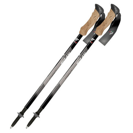 Bețe de trekking Fizan Compact