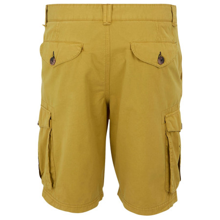 Pantaloni scurți bărbați Regatta Shorebay Shorts II