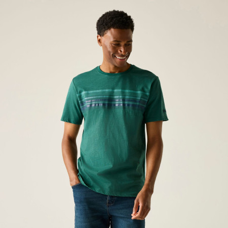 Tricou bărbați Regatta Rendro