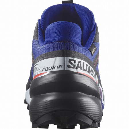 Încălțăminte bărbați Salomon Speedcross 6 Gore-Tex Equipe