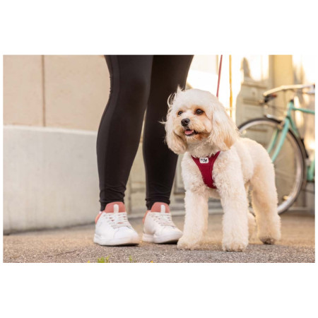 Ham pentru câini Curli Vest Clasp Air-Mesh