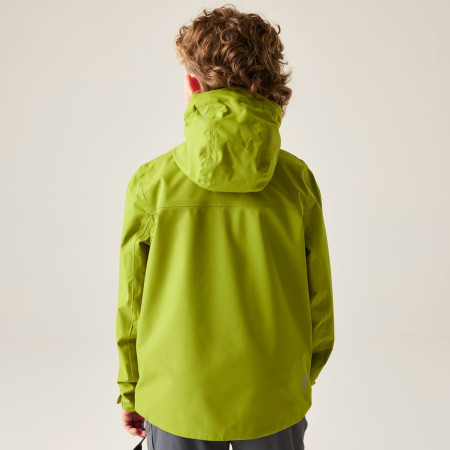 Geacă copii Dare 2b Kids Switch II Jacket GoldnCypress