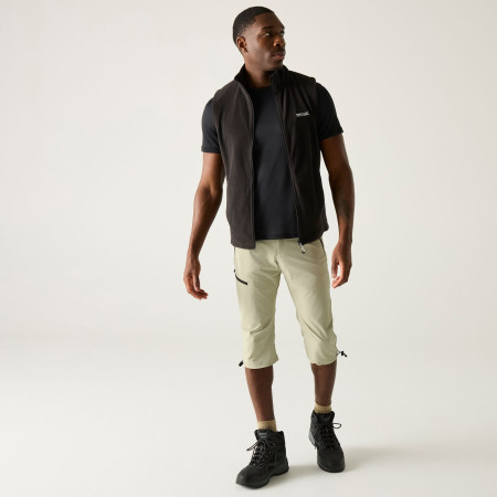 Pantaloni 3/4 bărbați Regatta Xert Stretch Capri