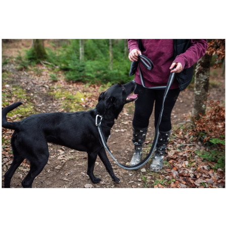 Lesă cu amortizor Mountain Paws Shock Absorber Dog Lead