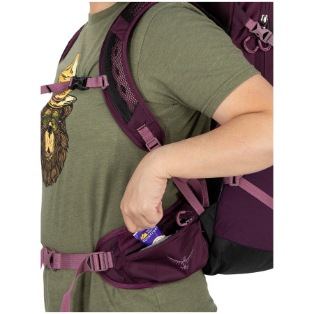 Rucsac turistic Osprey Sportlite 25