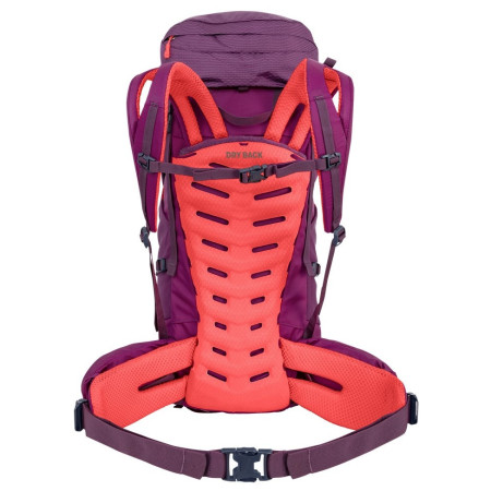 Rucsac femei Salewa Alptrek 38 +5 Bp Ws