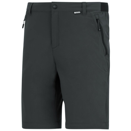 Pantaloni bărbați Regatta Anti-Insect Travel Light Z/O Trousers