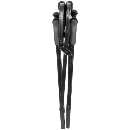 Fotoliu Brunner Aravel Director 3D