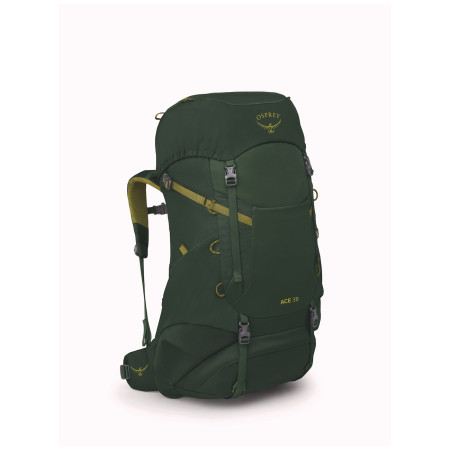 Rucsac pentru copii Osprey Ace 38 verde green canopy/matcha green
