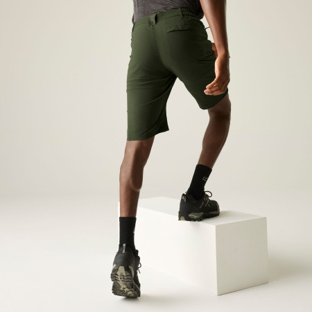 Pantaloni scurți bărbați Regatta Highton Shorts Long II