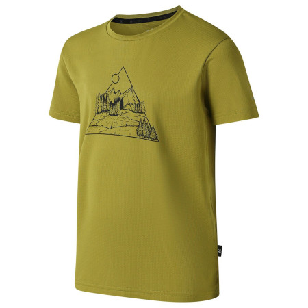 Tricou copii Dare 2b Amuse III Tee Goldn Cypress