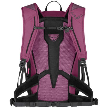 Rucsac turistic femei Dynafit Transalper 22 Backpack W