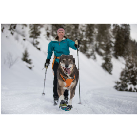 Ham pentru câini Ruffwear Omnijore Joring System