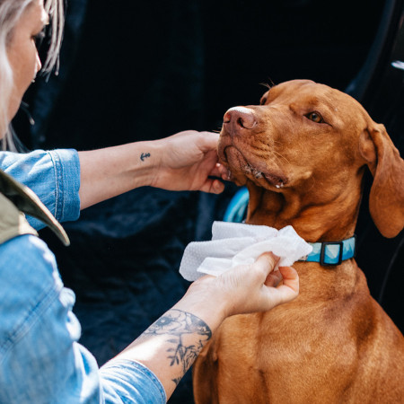 Șervețele umede pentru câini Explorer Dog Șervețele umede naturale pentru căței 40 ks