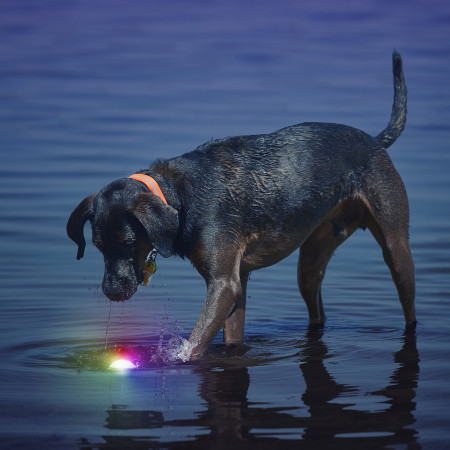 Jucărie pentru câini Nite Ize Glowstreak LED Ball