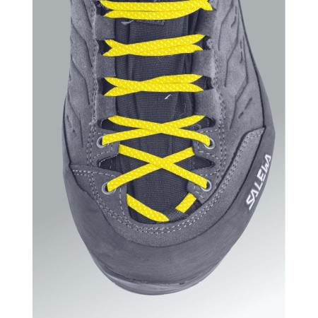 Încălțăminte femei Salewa WS Rapace GTX