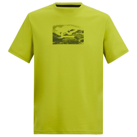 Tricou bărbați Regatta Fingal verde DARK TANG