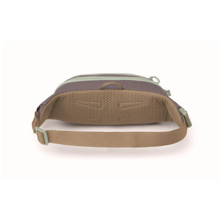 Borsetă Osprey Daylite Waist Pack