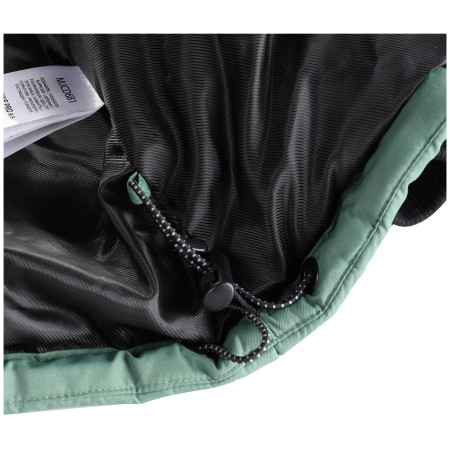 Geacă bărbați Alpine Pro Werd