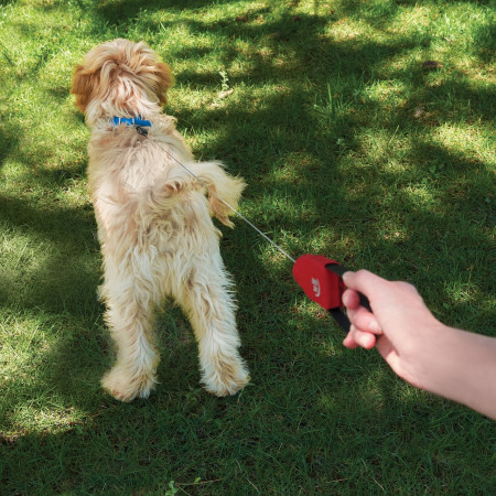 Lesă pentru câini Nite Ize RadDog™ Retractable Pocket Leash