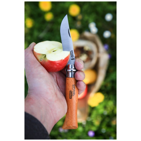 Briceag Opinel N°05 Carbon