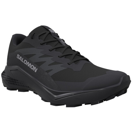 Încălțăminte femei Salomon Alphaglide Gore-Tex