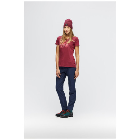 Pantaloni femei Salewa TERMINAL DST W PNT