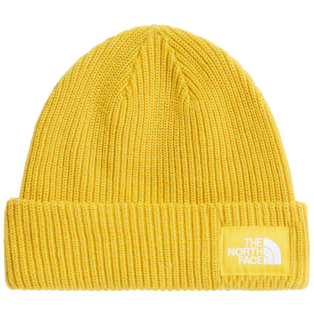 Căciulă The North Face Salty Lined Beanie