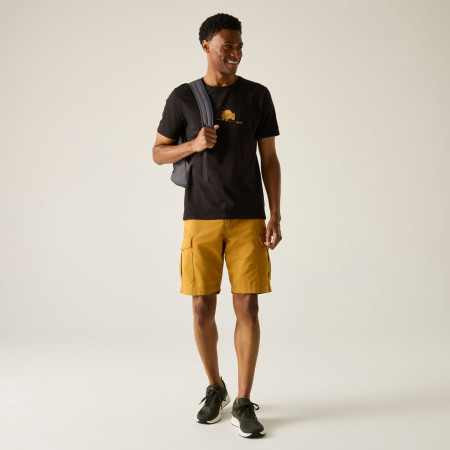 Tricou bărbați Regatta Cline IX