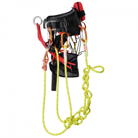 Ham Singing Rock Arbo Master