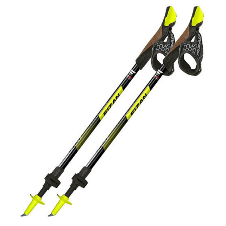 Bețe Nordic Walking Fizan R-Evolution